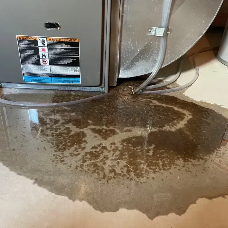 Appliance Leak Cleanup in Carlton, MN